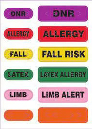 Zebra Slim Alert Wristband PS-BLANK-PUR