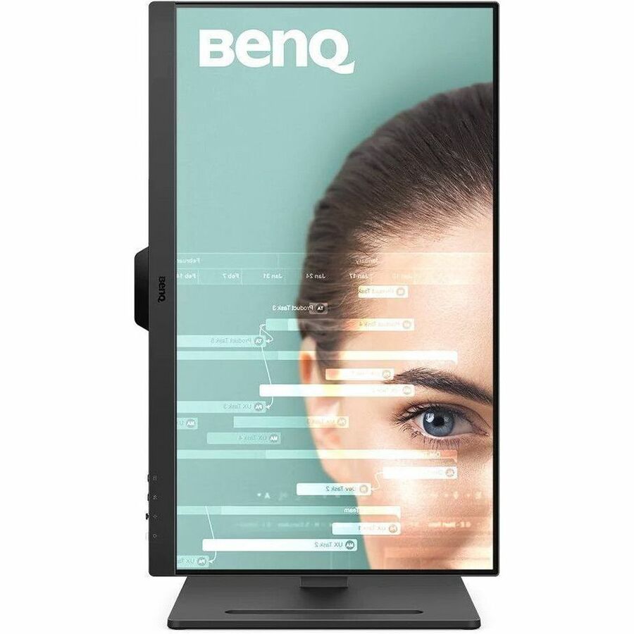 BenQ GW2490T 24" Class Full HD LED Monitor - 16:9 GW2490T