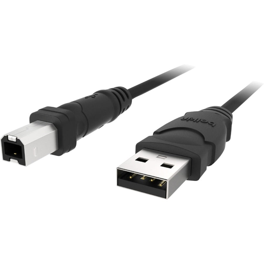 Belkin USB Cable F3U133B10