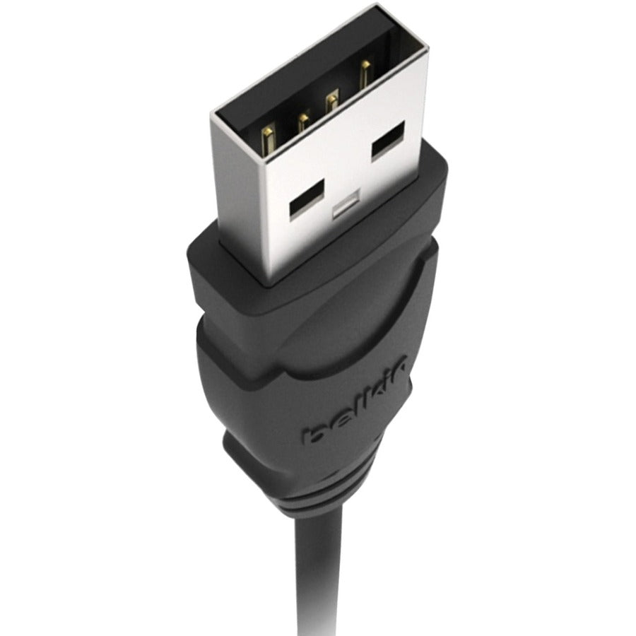 Belkin USB Cable F3U133B10