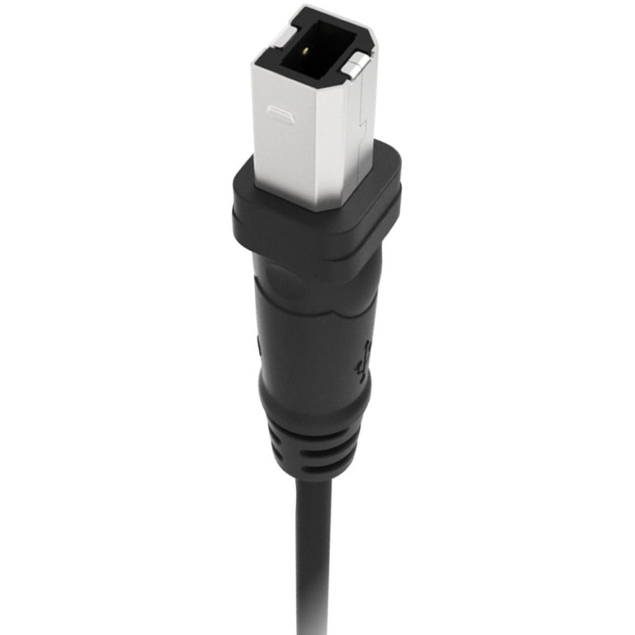 Belkin USB Cable F3U133B10