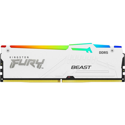 Module de mémoire SDRAM DDR5 Kingston FURY Beast 16 Go KF556C40BWA-16