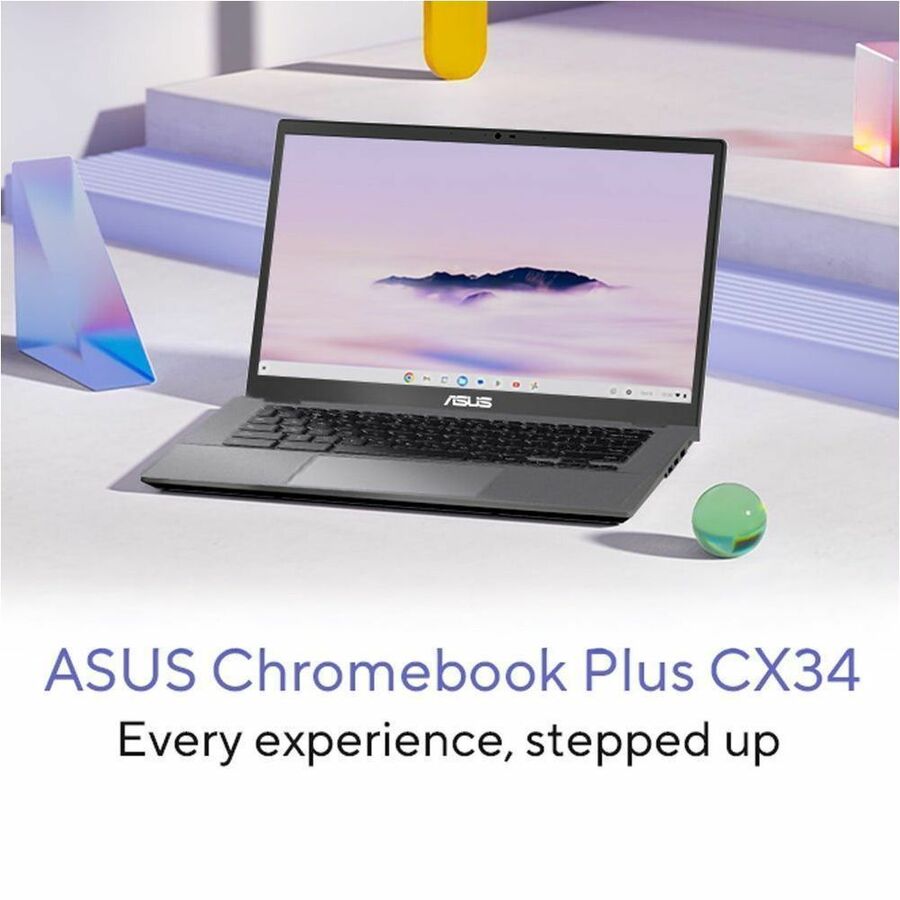 244291167.jpg