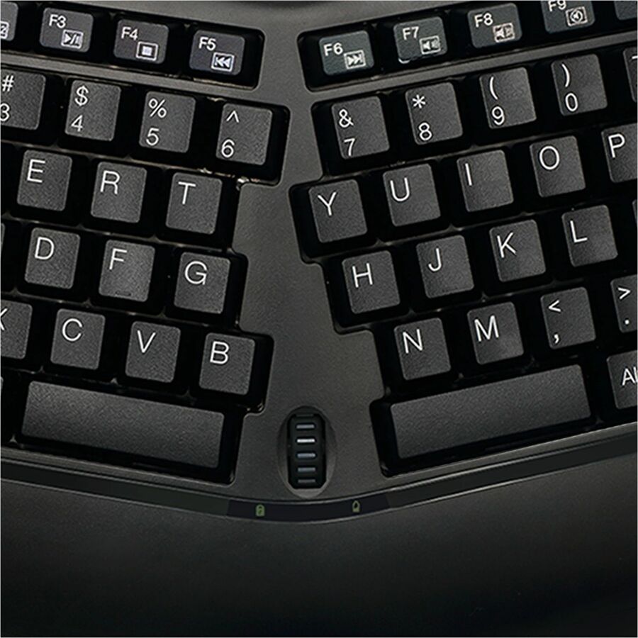 298093818.jpg