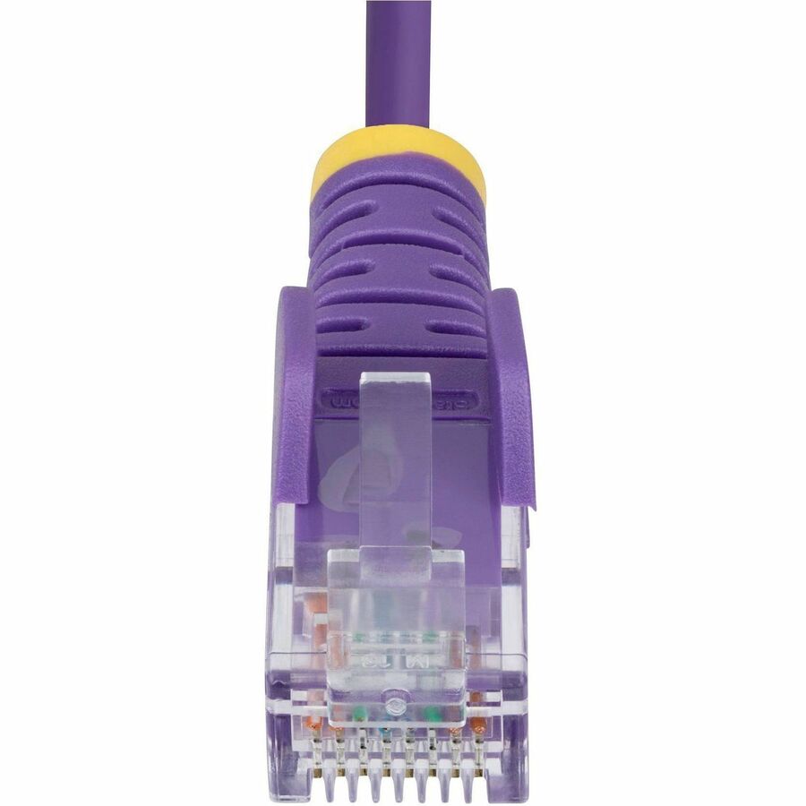 298095177.jpg
