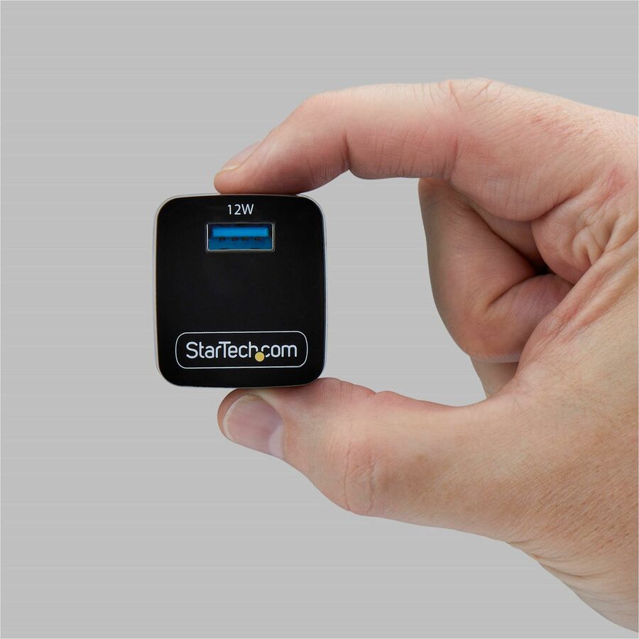 313431208.jpg