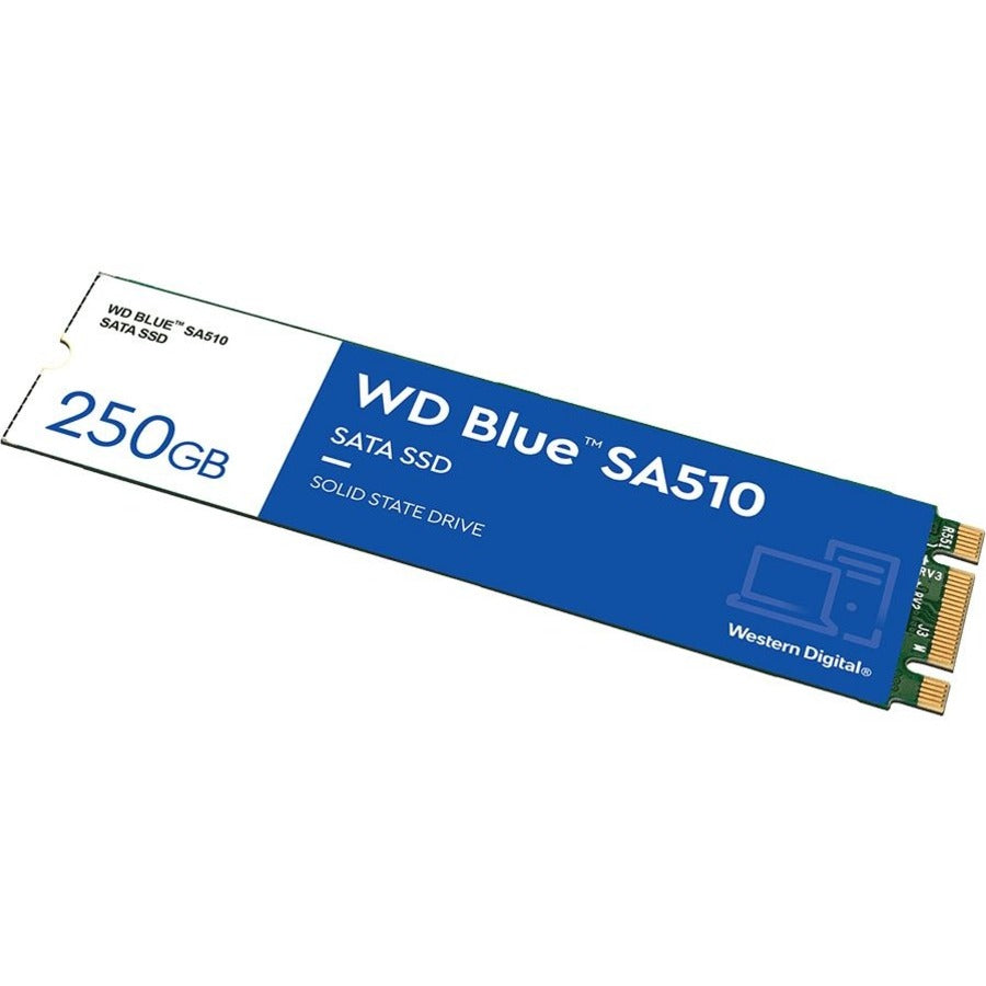 WD Blue SA510 WDS250G3B0B 250 GB Solid State Drive - M.2 2280 Internal - SATA (SATA/600) WDS250G3B0B