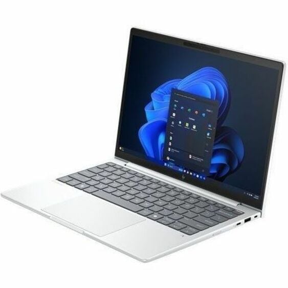 HP EliteBook 8 G1a 14" Touchscreen Copilot+ PC Notebook - WUXGA - AMD Ryzen AI 7 350 - 64 GB - 1 TB SSD - English Keyboard - Glacier Silver BN7X2UT#ABA