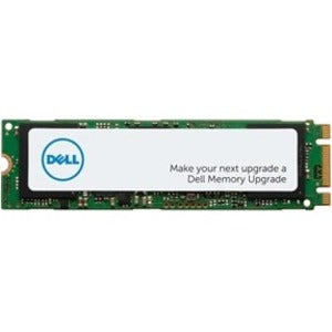 Dell 1 TB Solid State Drive - M.2 2280 Internal - SATA SNP112P/1TB